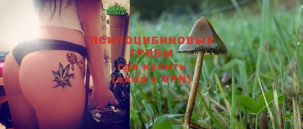 PSILOCYBIN Абинск