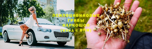 дурь Абдулино