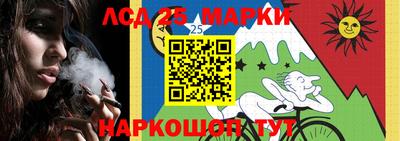 прущие грибы Сланцы