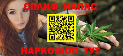 прущие грибы Сланцы