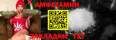 прущие грибы Сланцы