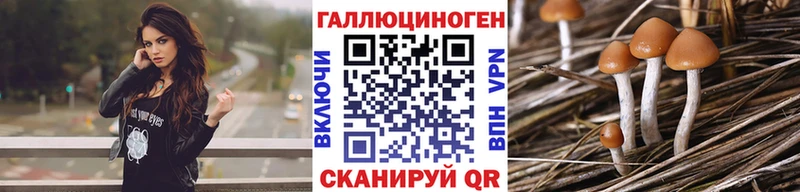 Галлюциногенные грибы Magic Shrooms  Моршанск 